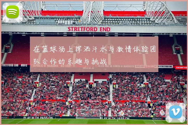 在篮球场上挥洒汗水与激情体验团队合作的乐趣与挑战