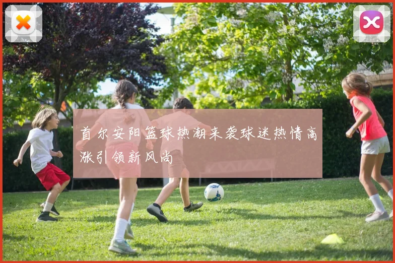 首尔安阳篮球热潮来袭球迷热情高涨引领新风尚